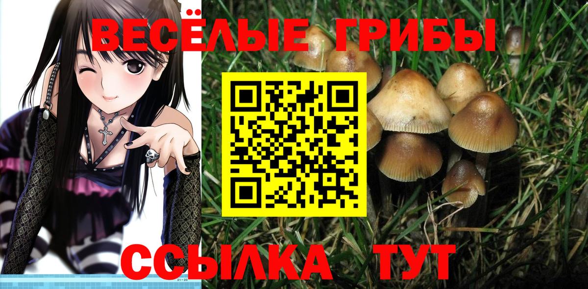 Асбест  Галлюциногенные грибы Psilocybe  Вход с VPN 