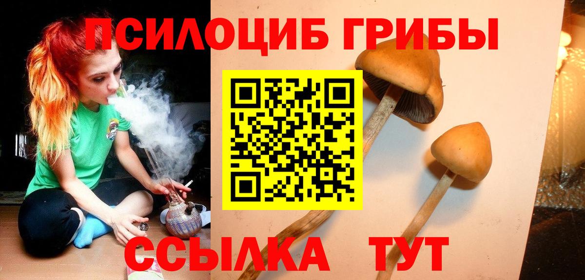 Галлюциногенные грибы прущие грибы Асбест